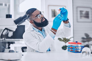 Image showing Sample analysis, lab and a scientist with blood for science, pharmaceutical healthcare or results. Focus, doctor or a black man with a dna vial for virus test, technician work or expert check