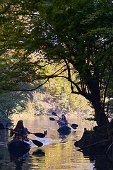 Image showing A group of friends enjoying having fun and kayaking while exploring the calm river, surrounding forest and large natural river canyons