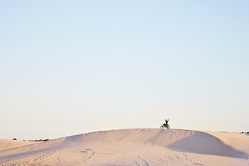 Image showing Desert blue sky, motorbike and sports person celebrate travel, journey or off road adventure, freedom and victory. Motorcycle, mockup winner or athlete driver, racer or excited rider cheers on dunes