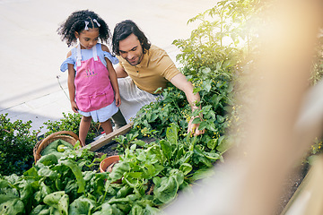 Image showing Garden, plant leaf and family child with father teaching kid gardening process, nature care or agriculture. Top view, eco friendly support and learning girl, helping father or green people bonding