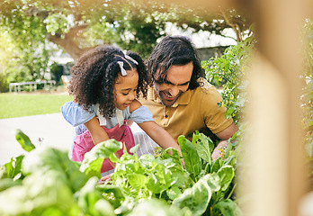 Image showing Garden, inspection and happy family kid, father and watch seed growth, plant fertilizer or care for agriculture. Child development, love bond and dad teaching youth girl sustainable gardening