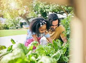 Image showing Garden, nature and happy family child, father and plant tree seeds, flowers or agriculture in backyard. Happiness, outdoor sustainability and learning kid, father or parent teaching girl gardening