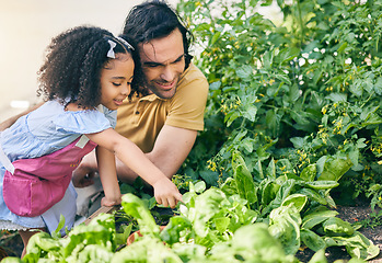 Image showing Gardening, dad and child in backyard with plants, teaching and learning with growth and nature. Small farm, sustainable food and father helping daughter in vegetable garden with love, support and fun