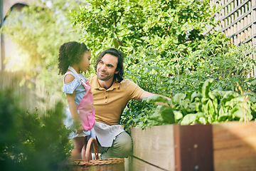 Image showing Gardening, dad and child with plants, teaching and learning with growth, backyard and nature. Small farm, sustainable food and father helping daughter in vegetable garden with love, support and fun.