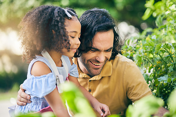 Image showing Gardening, dad and child smile with plants, teaching and learning with growth in nature together. Backyard, sustainability and father helping daughter in vegetable garden with love, support and fun.