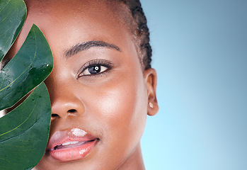 Image showing Beauty portrait, studio leaf and black woman with natural wellness, organic skincare or and sustainable facial makeup. Eco friendly makeup, tropical plant and African person face on blue background