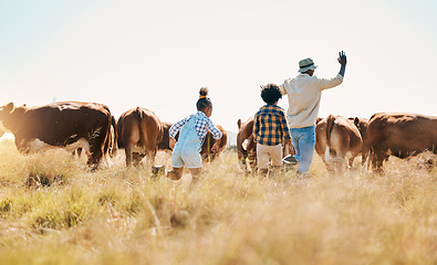 Image showing Animal, father and children on family farm outdoor with cattle, sustainability and livestock. Behind African man and kids walking on a field for farmer adventure or holiday in countryside with cows