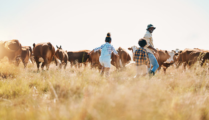 Image showing Cattle, father and children on family farm outdoor with freedom, sustainability and livestock. Black man and kids walking on a field for farmer adventure or holiday in countryside with cows in Africa