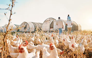 Image showing Piggyback, gay couple and chicken with black family on farm for agriculture, environment and bonding. Relax, health and love with men and child farmer on countryside field for eggs, care and animals