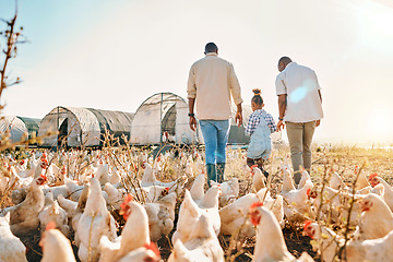 Image showing Holding hands, gay couple and chicken with black family on farm for agriculture, environment and bonding. Relax, lgbtq and love with men and child farmer on countryside field for eggs and animals