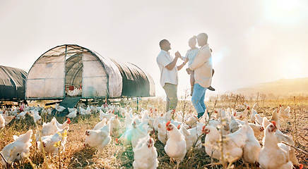 Image showing Happy, gay couple and chicken with black family on farm for agriculture, environment and bonding. Relax, lgbtq and love with men and child farmer on countryside field for eggs, care and animals