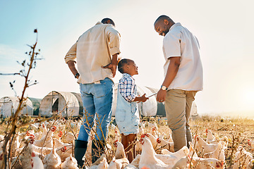 Image showing Tablet, gay couple and chicken with black family on farm for agriculture, environment and bonding. Relax, lgbtq and love with men and child farmer on countryside field for eggs, care and animal