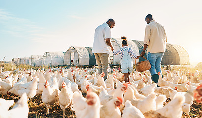 Image showing Happy, gay couple and holding hands with black family on chicken farm for agriculture, environment and bonding. Relax, lgbtq and love with men and child on countryside field for eggs, care or animals