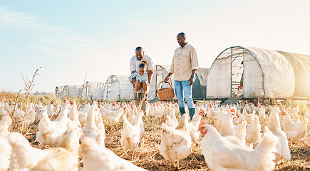 Image showing Agriculture, gay couple and chicken with black family on farm for happy, environment and bonding. Relax, lgbtq and love with men and child farmer on countryside field for eggs, care and animals