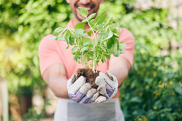 Image showing Hands, closeup and man with a plant for gardening, earth day or nature sustainability. Spring, growth and gardener or agriculture worker with ecology in a park or nursery for work in the environment