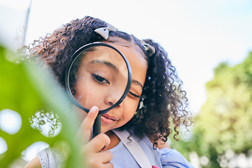 Image showing Girl child, magnifying glass and leaves in garden, backyard or park in science, study or outdoor. Young female kid, lens and zoom for nature, research or check for plant, ecology or growth in summer