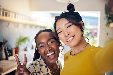 Image showing Happy, friends and selfie with women and peace sign for social media, relax and diversity. Smile, happiness and profile picture with portrait of people at home for content creator and influencer