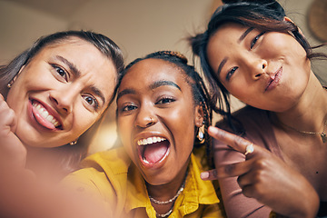 Image showing Friends, selfie and women happy, crazy and bond in a living room at home together on the weekend. Portrait, emoji and people with diversity pose for profile picture, blog or social media memory post