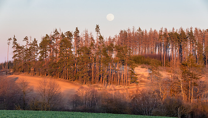 Image showing Wooden Hunters High Seat, hunting tower