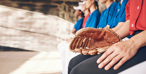 Image showing Sports, hand and athlete with a glove for baseball, watching game and team together. Fitness, training and a pitcher or person with gear for a competition, professional contest or ready for a match