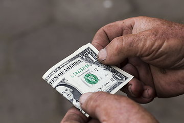 Image showing one American dollar hands