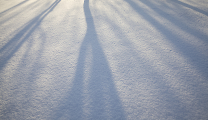 Image showing shadows on snow