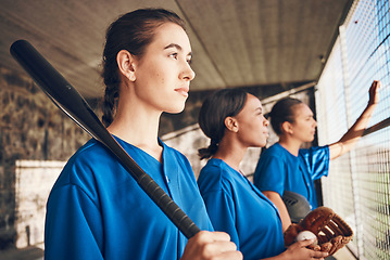 Image showing Women, team and softball, sports and game with fitness, professional and athlete group together. Mission. confidence and support, trust and exercise, people ready to play baseball and club in dugout