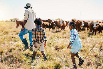 Image showing Cows, kids or father walking on farm agriculture for livestock, sustainability or agro business in countryside. Children, black family or African farmer farming cattle herd or animals on grass field