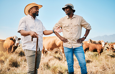 Image showing Cows, teamwork or black people on farm talking by agriculture for livestock, sustainability or agro business. Countryside, men speaking or farmers farming a cattle herd or animals on grass field