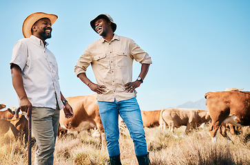 Image showing Farmer, men and team, cow and agriculture with livestock, sustainability and agro business in countryside. People in farm collaboration, industry and environment with cattle herd and animals outdoor