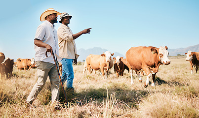 Image showing Cattle, teamwork or black people on farm talking by agriculture for livestock, sustainability or agro business. Countryside, men speaking or farmers farming cows, herd or animals on grass field