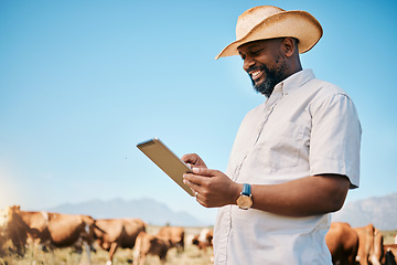 Image showing Happy black man, tablet and animals in agriculture, farming or sustainability in the countryside. African male person smile on technology with live stock, cows or cattle for small business or produce