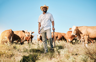 Image showing Happy black man, portrait and animals in farming, agriculture or sustainability in the countryside. African male person smile with natural cattle, live stock or cow herd on farm or field at the barn