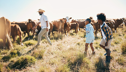 Image showing Farm, cows and father with children in countryside for ecology, adventure and agriculture. Family, sustainable farming and happy dad with kids for bonding, relax and learning with animals in field