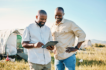 Image showing Black people, tablet and farm with chicken in agriculture together, live stock and outdoor crops. Happy men working together for farming, sustainability and growth in supply chain in the countryside