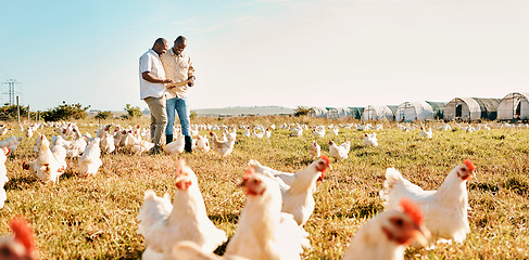 Image showing Black people, clipboard and farm with chicken livestock in agriculture and outdoor resources. Happy men working together for farming, sustainability and growth in supply chain in the countryside