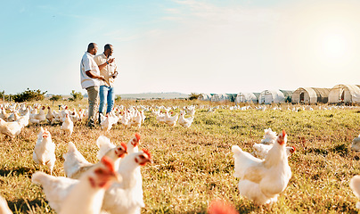 Image showing Black people, clipboard and farm with chicken pointing to barn in agriculture together for live stock. Happy men working for farming, sustainability and growth in supply chain in the countryside