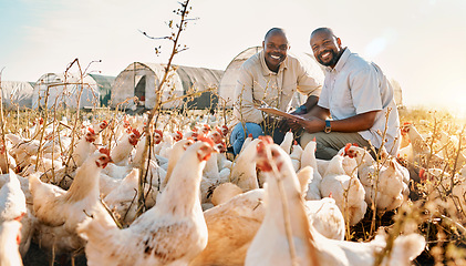 Image showing People, farmer checklist and chicken in agriculture, sustainability or eco friendly, free range and teamwork portrait. Happy, african men or small business owner with animals, clipboard and outdoor