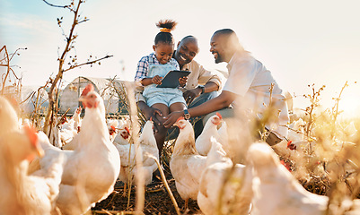 Image showing Family, chicken farm support and gay parents in countryside with sustainability, agriculture help and kid. Hug, farming and child together with parent love and support with bird and animal livestock