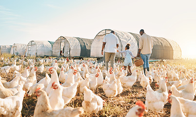 Image showing Farm, chicken and gay parents with girl in countryside for holiday, adventure and vacation. Lgbtq family, sustainable farming and back of fathers with child for bonding, relax and fun with animals