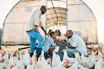 Image showing Farm, chicken and lgbtq parents with girl with egg in countryside for learning, agriculture and vacation. Family, sustainable farming and gay fathers with kid for bonding, relax and fun with animals