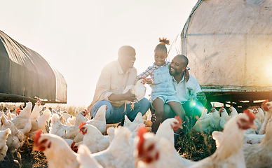 Image showing Agriculture, chicken and gay parents with girl in countryside for holiday, adventure and vacation. Lgbtq family, sustainable farm and fathers with child for bonding, relax and learning with animals