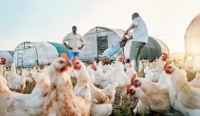 Image showing Chickens, farming and family swing with birds check outdoor for sustainability and kid fun. Dad, child and working together on farm field and countryside with support and care for animal livestock