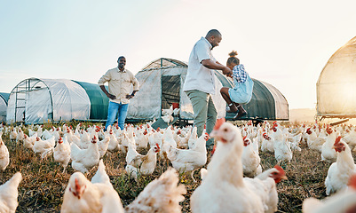 Image showing Chicken, farming and family swing with birds outdoor for sustainability and fun with kid. Dad, child and working together on farm field and countryside with support and care for animal livestock