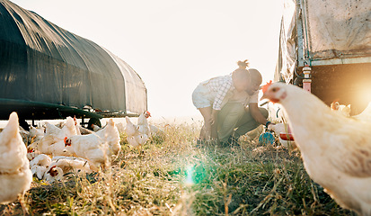 Image showing Chicken coop, farming and family with birds check outdoor for sustainability and agriculture. Dad, child and working together on farm field and countryside with support and care for animal livestock