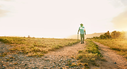 Image showing Sun flare, farm and man with agriculture, countryside and walking with grass field, nature and fresh air. Person, farmer and guy with growth, industry and landscape with sustainability or environment