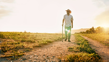 Image showing Environment, nature and relax with man on farm for sustainability, agriculture and ecology. Happy, peace and sunset with farmer on countryside field for summer, health and calm with mockup space