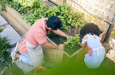 Image showing Gardening, sustainability and dad with child from above with plants, teaching and learning with growth and nature. Fun, backyard and father helping daughter, vegetable garden with love and support.