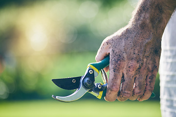 Image showing Gardening, shears and hands of man in nature for agriculture, farming and planting flowers. Sustainability, countryside and male person with tools for earth, fertilizer and soil for environment