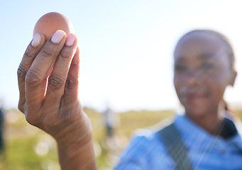 Image showing Hand, black woman and egg at farm for inspection, supply chain or quality control in countryside. Poultry farming, free range and farmer with chicken eggs check for organic, trading or agriculture